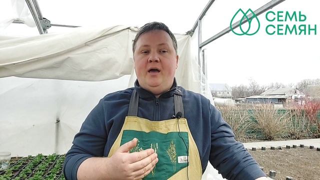 Все о выращивании картофеля!