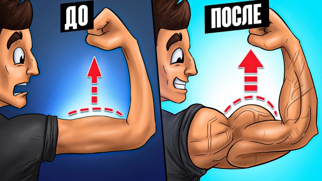 БИЦЕПСЫ. 10 упражнений для БЫСТРОГО роста!