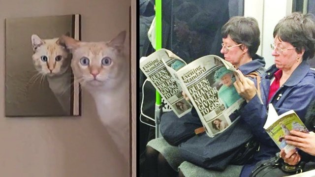 Удивительная Синхронность, Похожая На Сбой в Матрице