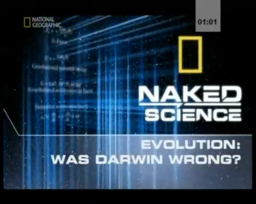 Был ли Дарвин прав?