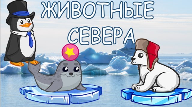 ЖИВОТНЫЕ СЕВЕРА Развивающее видео для малышей Карточки Домана