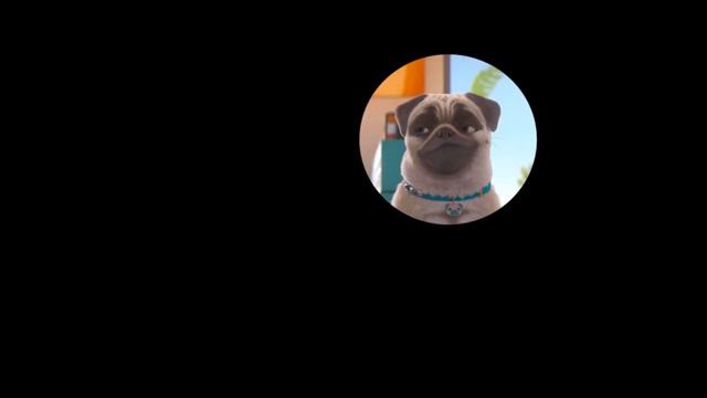 30 minutes of Mighty Mike 🐶⏲️ // Compilation #8 - Mighty Mike