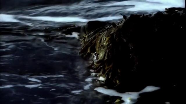 Эволюция Земли. Суровое прошлое единственной живой планеты.