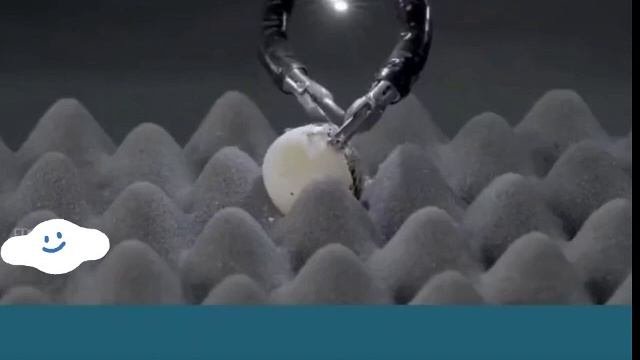 Robot Challenge: Quail Egg Peeling