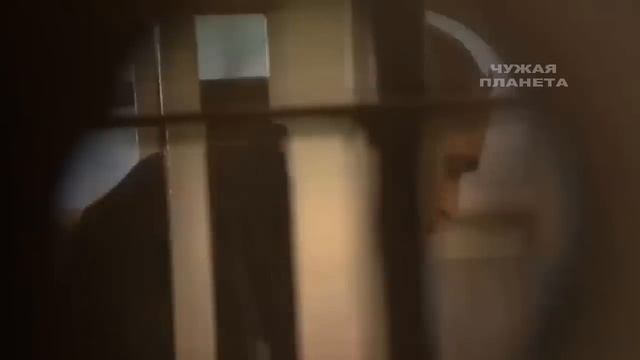 Не на ту наехал! Что стало с человеком который обидел дочь Путина