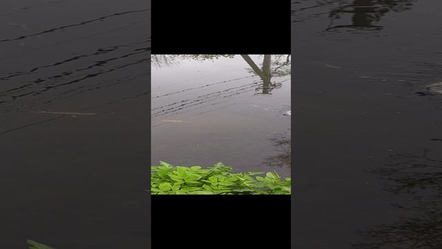 Озеро страха