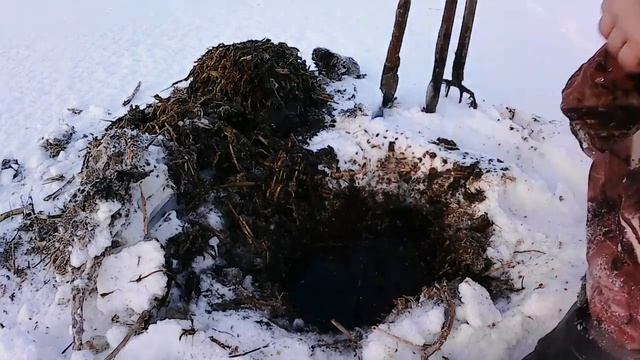 Оснастка ловли налима.Морда
