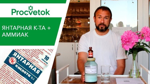 Янтарная кислота для подкормки растений. Готовим усиленный раствор!