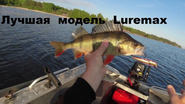 Лучшая модель Luremax