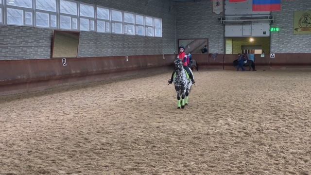 КОНОБЛОГ// Тренировка на Барбарисе полгода спустя #коноблог