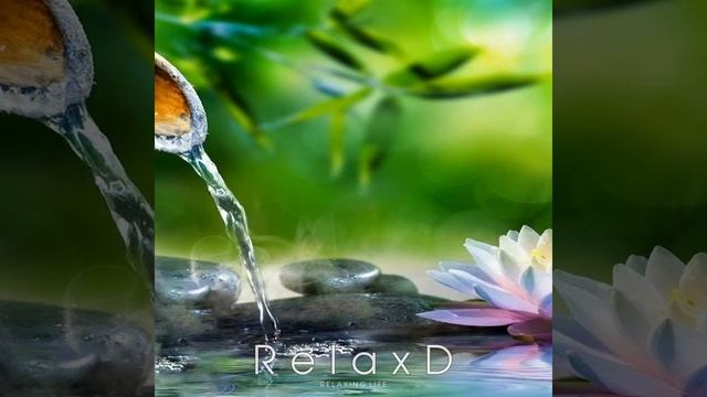Soothing Relaxation: Relaxing Piano Music, Sleep Music, Water Sounds, Relaxing Music, Meditation
