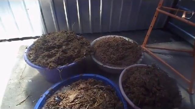 Состав смеси для топливных брикетов