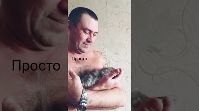 Мужчины и котята питомник Мейн Кун RIVERSIDE PRIDE