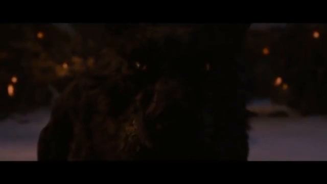 Песня - Волки мы в ночных лесах.