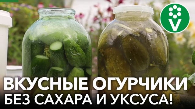 ОГУРЦЫ ТАКИЕ ЖЕ ВКУСНЫЕ, КАК У БАБУШКИ! Рецепт соленых огурцов как из бочки: хрустящие и ароматные