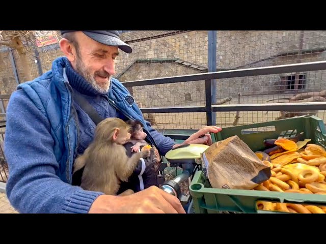 Такое МИЛОЕ ВИДЕО! Влад, Люся и Степашка приехали кормить семью гамадрил!