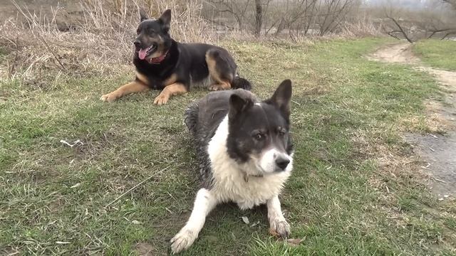 Рыбалка. Товарищ Саахов возвращается. Спасибо за то, что дождались. Последние новости от  Больнички