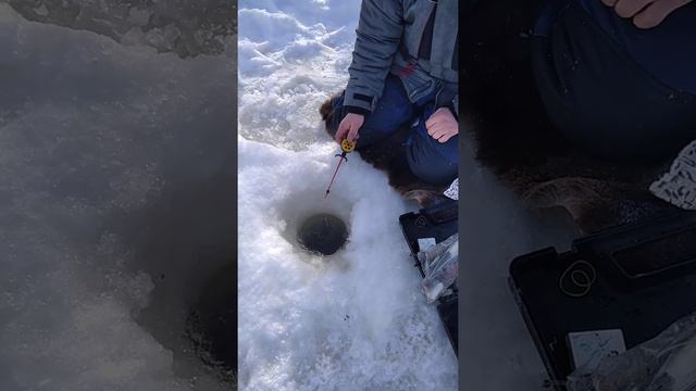 Рыбалка Нарьян-Мар