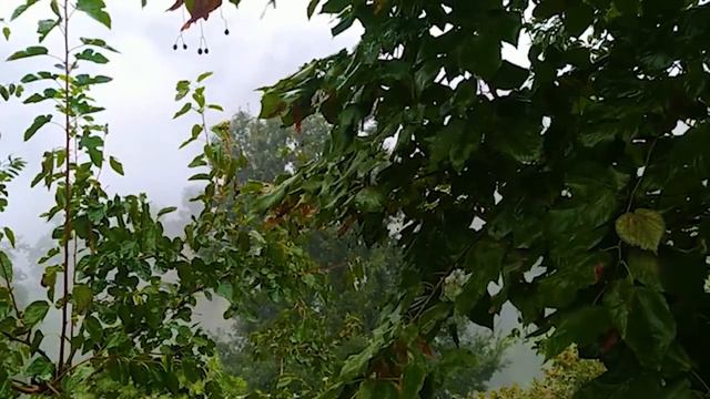 Утка с грецкими орехами и рисом на молоке Азербайджанская Кухня Деревенская Кухня Рецепты