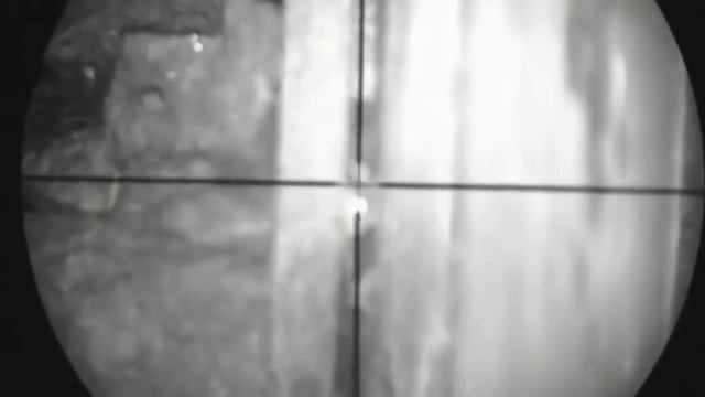 Охота на крыс с Оптики ужасающие зрелище видео 2016