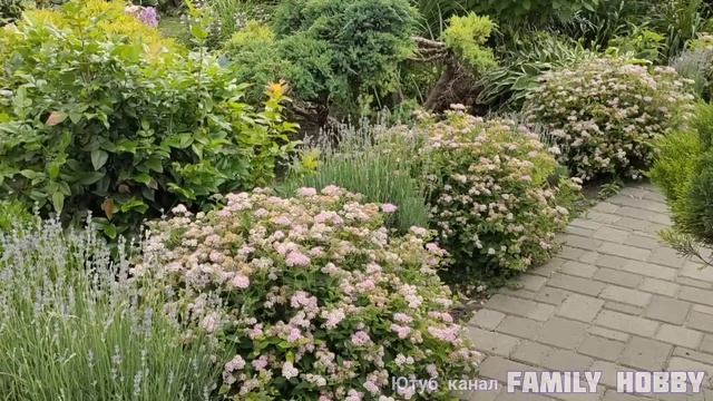 Прогулка по ПРЕКРАСНОМУ САДУ Светланы и Сергея Декуновых .28 июня .