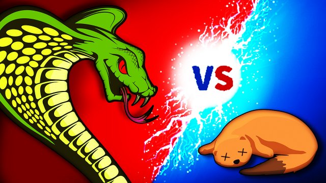 Кобра VS Мангуст. Смертельная битва
