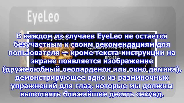 EyeLeo: заботимся о здоровье своих глаз