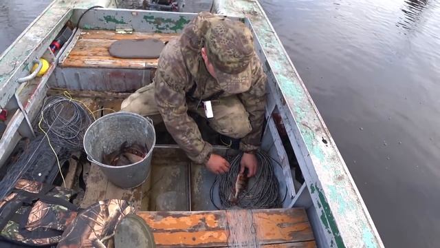 Промысловая рыбалка СЕТЯМИ в Коми республике 2020.