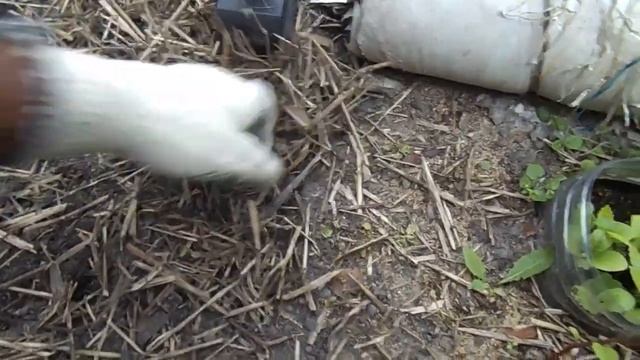 Установка  кротоловки кот Федр или Супер Кэт.