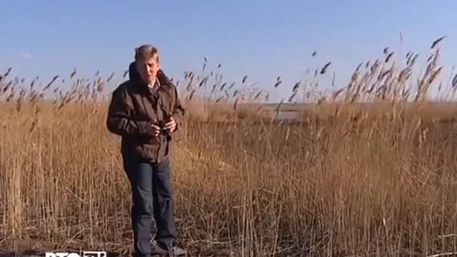 Природа Калмыкии