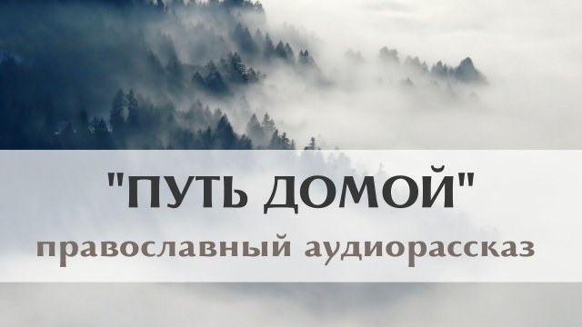 Православный рассказ Наталии Климовой «Путь домой». Добрая история о том, как Господь нам помогает