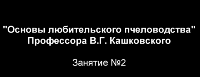Курсы В Г Кашковского Занятие №2