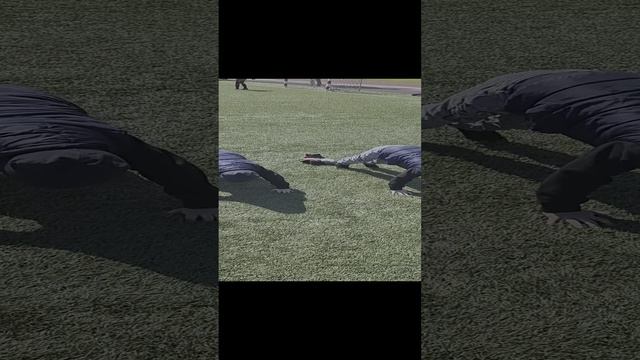 Спорт