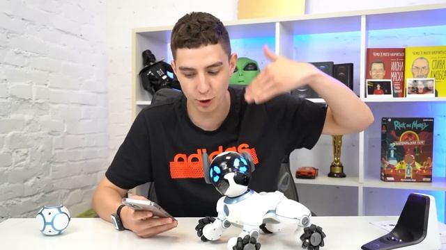 ОБЗОР НА РОБОТА СОБАКУ ! ОНА ОЧЕНЬ УМНАЯ !