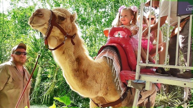 VLOG Funny Baby Diana and Roma playing at the zoo and feeds animals Video for kids