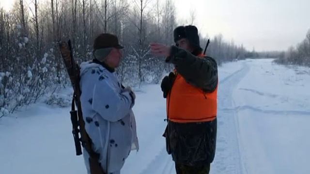 oxota 1.avi  Бежецкая  охота