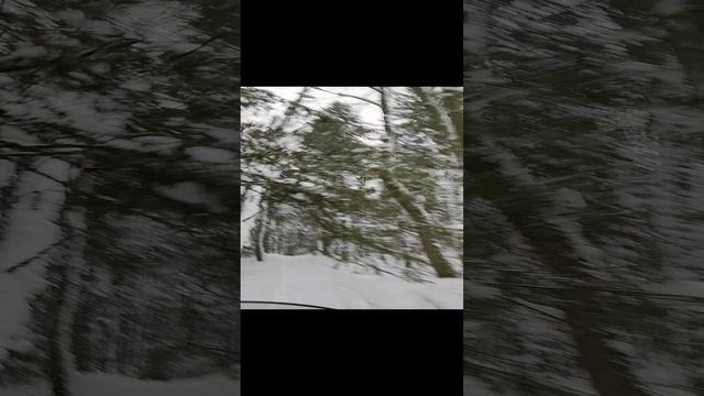 10611.mp4