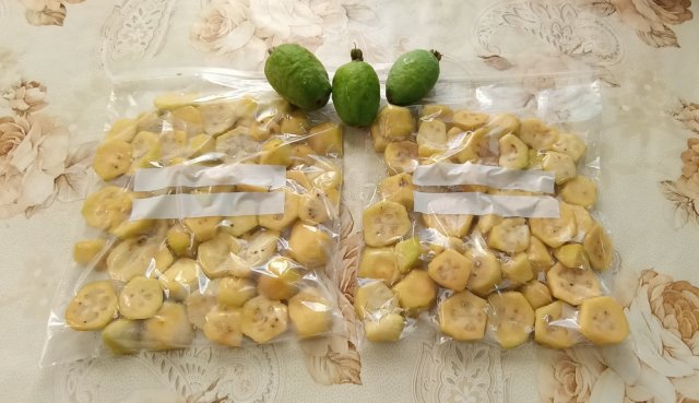 Самая лучшая заморозка фейхоа и других фруктов. Заготовки на зиму.