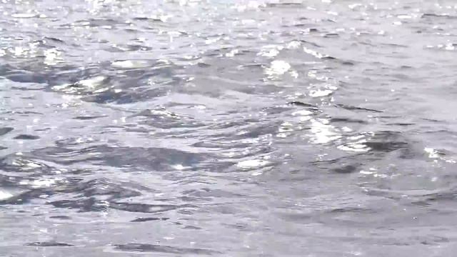 Путешествие под парусом по Белому морю | Яхта Аргоша за Полярным Кругом. Часть 1