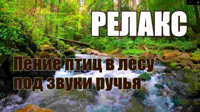 РЕЛАКС: ПЕНИЕ ПТИЦ В ЛЕСУ ПОД ЗВУКИ РУЧЬЯ. РАССЛАБЛЯЮЩАЯ МУЗЫКА ДЛЯ СНА.