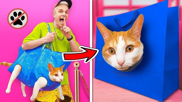 10 Способов Пронести ЖИВОТНЫХ в КИНОТЕАТР !