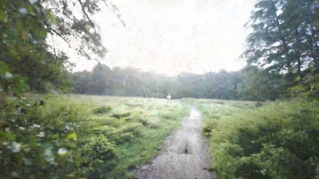 Tranquility Trail | Virtual Run / Walk with Music | Guildford, Surrey | Treadmill Workout Scenery