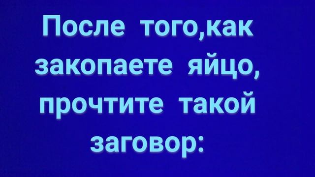 131.ЗАГОВОР ОТ ШУМНЫХ СОСЕДЕЙ
