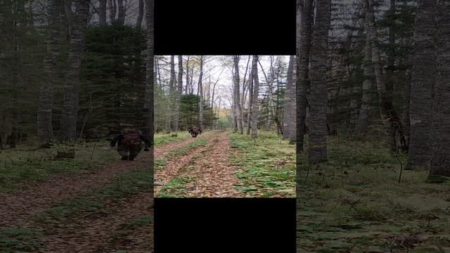 На поиски клада?