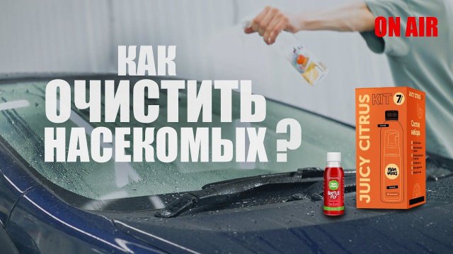 НАСЕКОМЫЕ: ПОСЛЕДСТВИЯ ДЛЯ ЛКП И СПОСОБЫ ОЧИСТКИ