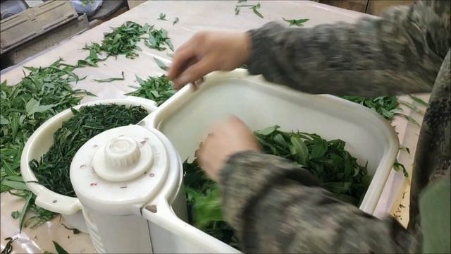 Быстрый способ скручивания Иван чая кипрея