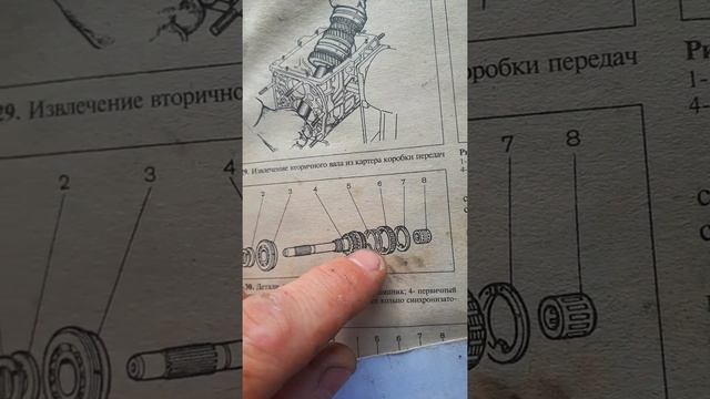Выбивает скорость кпп ваз? Проверь гайку хвостовика!