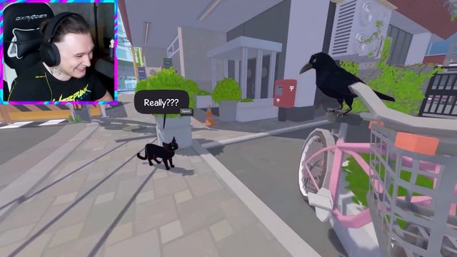 Я стал КОТОМ и ВЫПАЛ ИЗ ОКНА!! (Little Kitty Big City)