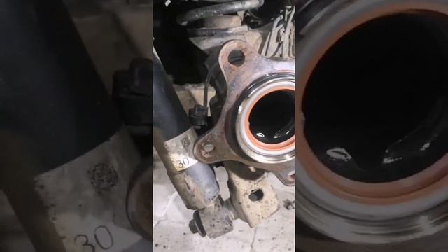 прадо и сальник полуоси.