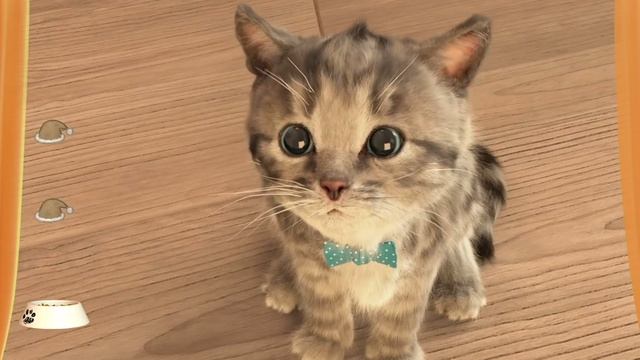МОЙ МАЛЕНЬКИЙ КОТЕНОК №2. ИГРА про котят на канале Хвостик ТВ
